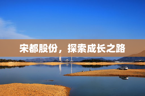 宋都股份，探索成长之路