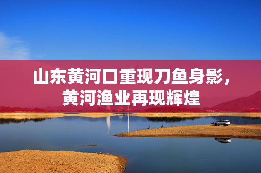 山东黄河口重现刀鱼身影，黄河渔业再现辉煌
