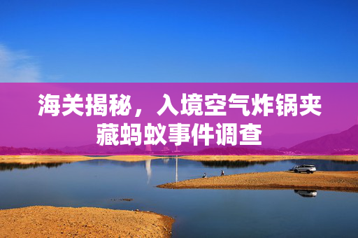 海关揭秘，入境空气炸锅夹藏蚂蚁事件调查