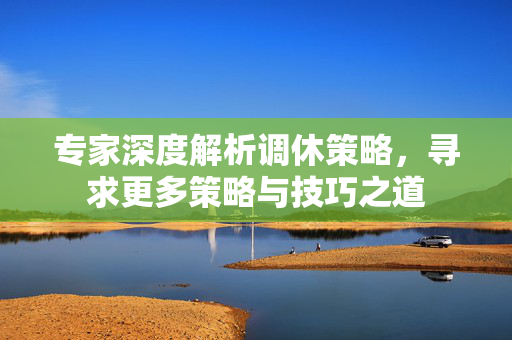 专家深度解析调休策略，寻求更多策略与技巧之道