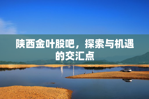 陕西金叶股吧，探索与机遇的交汇点