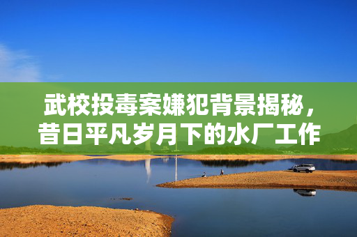 武校投毒案嫌犯背景揭秘，昔日平凡岁月下的水厂工作历程