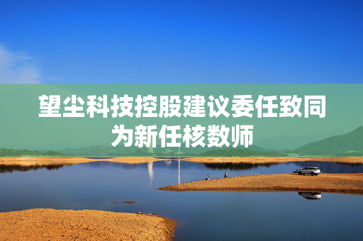 望尘科技控股建议委任致同为新任核数师