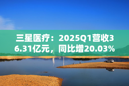 三星医疗：2025Q1营收36.31亿元，同比增20.03%