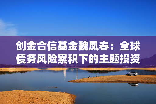 创金合信基金魏凤春：全球债务风险累积下的主题投资