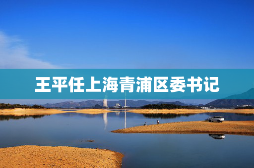 王平任上海青浦区委书记