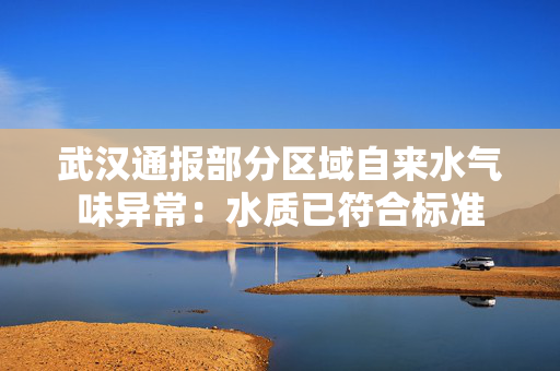 武汉通报部分区域自来水气味异常：水质已符合标准