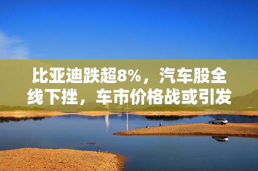 比亚迪跌超8%，汽车股全线下挫，车市价格战或引发市场担忧