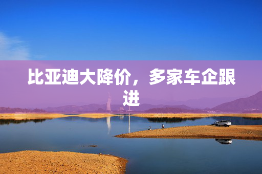 比亚迪大降价，多家车企跟进