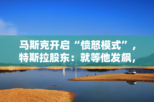 马斯克开启“愤怒模式”，特斯拉股东：就等他发飙，用成绩说话