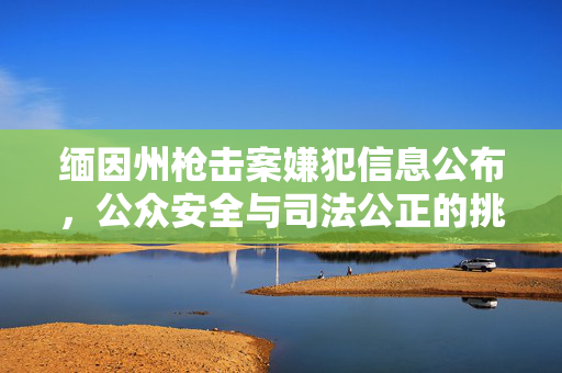 缅因州枪击案嫌犯信息公布，公众安全与司法公正的挑战