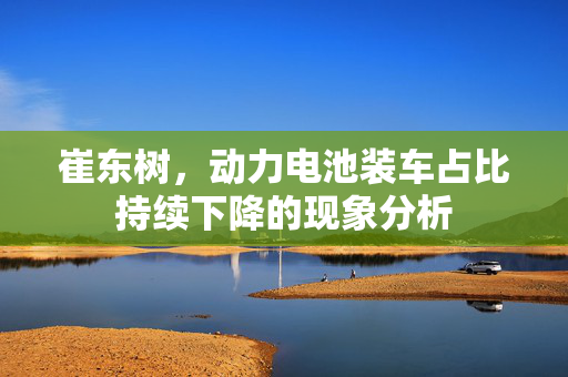 崔东树，动力电池装车占比持续下降的现象分析