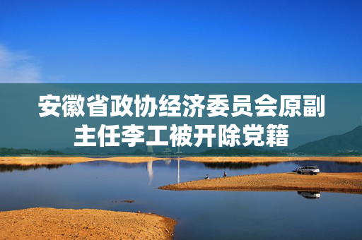 安徽省政协经济委员会原副主任李工被开除党籍