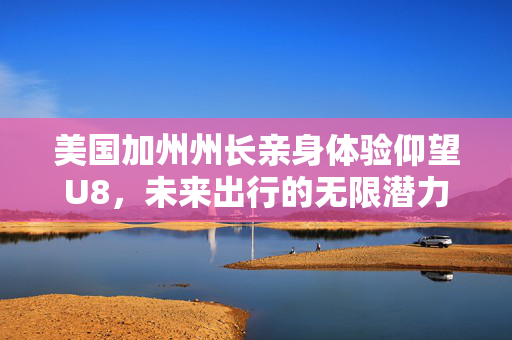 美国加州州长亲身体验仰望U8，未来出行的无限潜力与前景