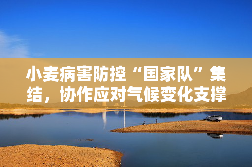 小麦病害防控“国家队”集结，协作应对气候变化支撑稳产增产