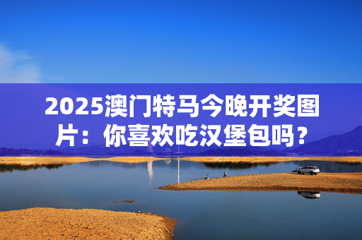 2025澳门特马今晚开奖图片：你喜欢吃汉堡包吗？