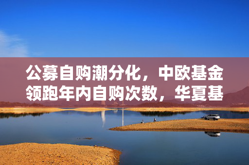 公募自购潮分化，中欧基金领跑年内自购次数，华夏基金市场解读与市场分化现象观察