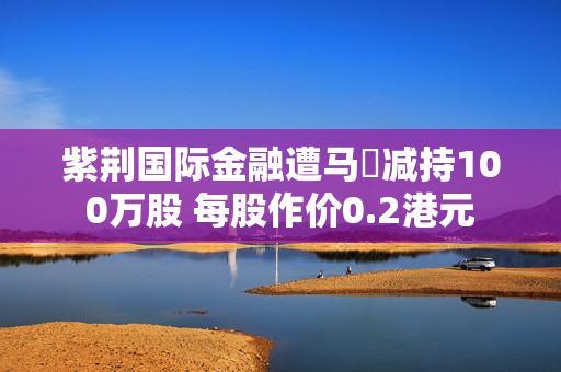 紫荆国际金融遭马焜减持100万股 每股作价0.2港元