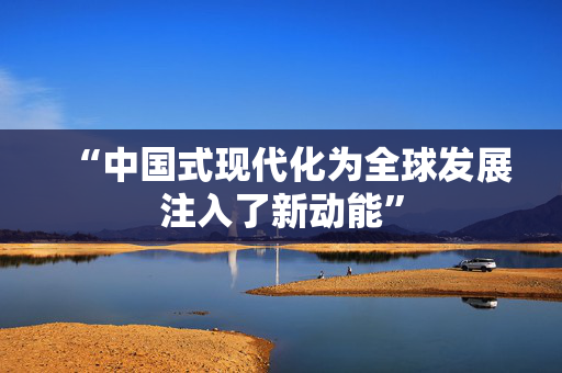 “中国式现代化为全球发展注入了新动能”