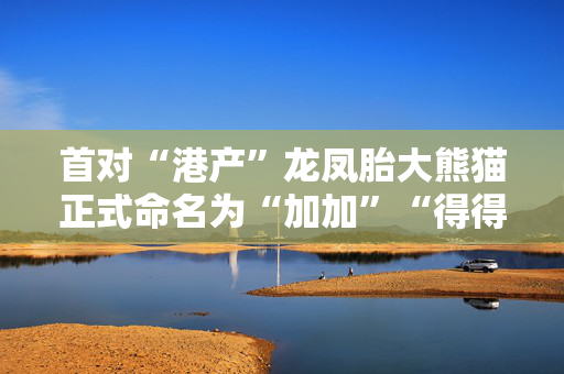 首对“港产”龙凤胎大熊猫正式命名为“加加”“得得”