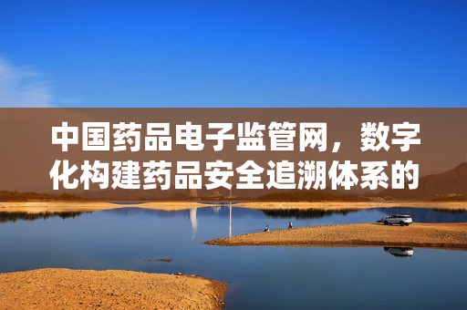中国药品电子监管网，数字化构建药品安全追溯体系的力量