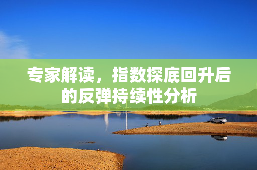 专家解读，指数探底回升后的反弹持续性分析