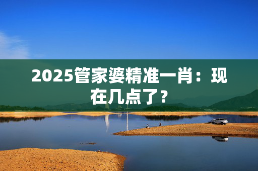 2025管家婆精准一肖：现在几点了？