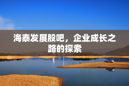 海泰发展股吧，企业成长之路的探索