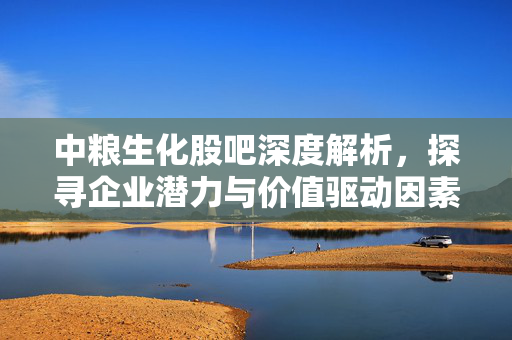 中粮生化股吧深度解析，探寻企业潜力与价值驱动因素