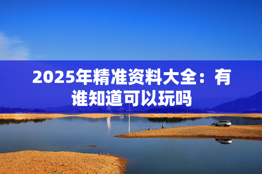 2025年精准资料大全：有谁知道可以玩吗