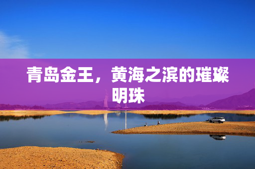 青岛金王，黄海之滨的璀璨明珠