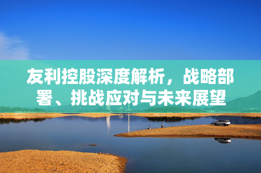 友利控股深度解析，战略部署、挑战应对与未来展望