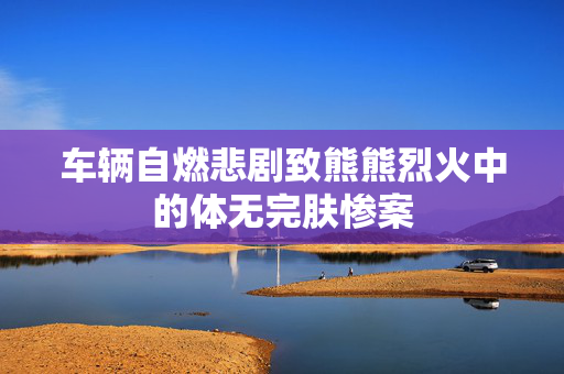 车辆自燃悲剧致熊熊烈火中的体无完肤惨案