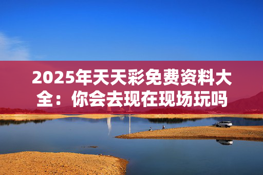 2025年天天彩免费资料大全：你会去现在现场玩吗