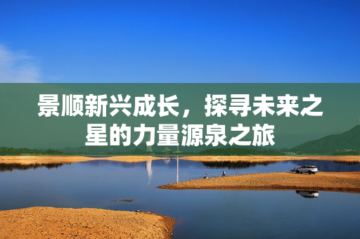 景顺新兴成长，探寻未来之星的力量源泉之旅