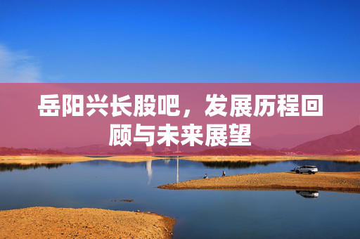 岳阳兴长股吧，发展历程回顾与未来展望
