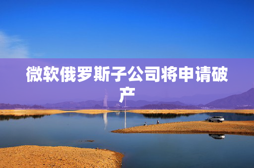 微软俄罗斯子公司将申请破产