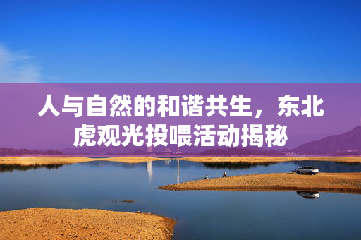 人与自然的和谐共生，东北虎观光投喂活动揭秘