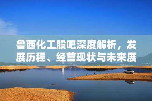 鲁西化工股吧深度解析，发展历程、经营现状与未来展望