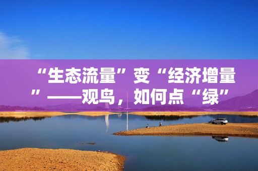 “生态流量”变“经济增量”——观鸟，如何点“绿”成金（视线）