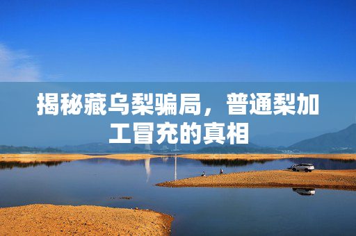 揭秘藏乌梨骗局，普通梨加工冒充的真相