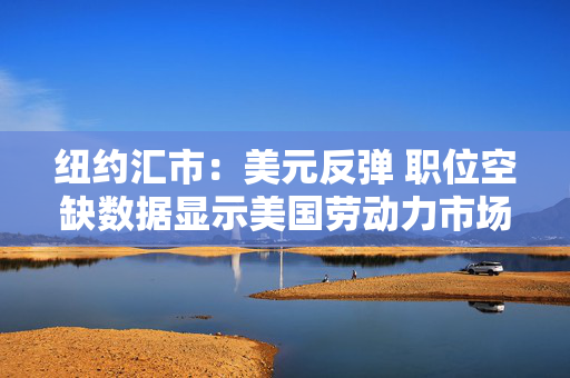纽约汇市：美元反弹 职位空缺数据显示美国劳动力市场依然稳健