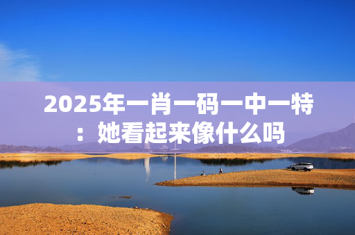 2025年一肖一码一中一特：她看起来像什么吗