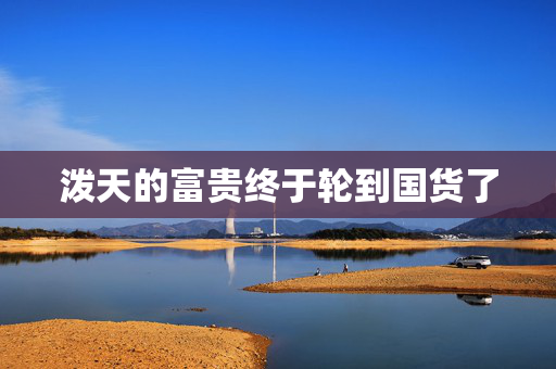 泼天的富贵终于轮到国货了