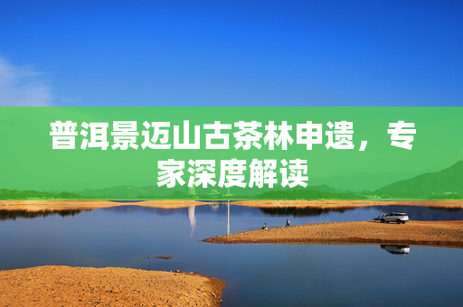 普洱景迈山古茶林申遗，专家深度解读
