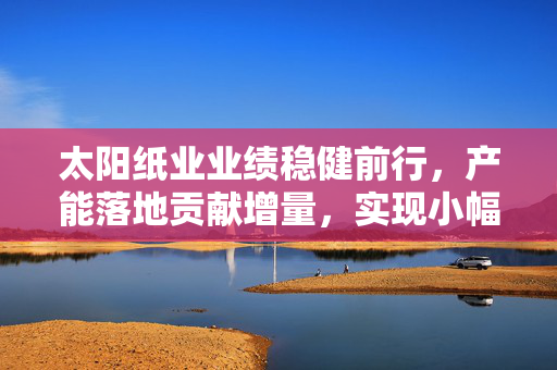 太阳纸业业绩稳健前行，产能落地贡献增量，实现小幅增长