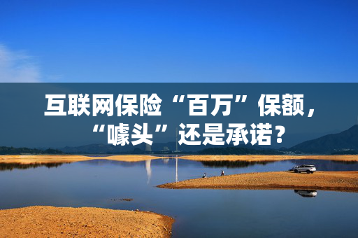互联网保险“百万”保额，“噱头”还是承诺？