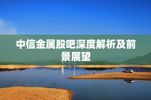 中信金属股吧深度解析及前景展望