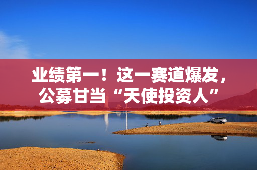 业绩第一！这一赛道爆发，公募甘当“天使投资人”