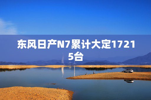 东风日产N7累计大定17215台